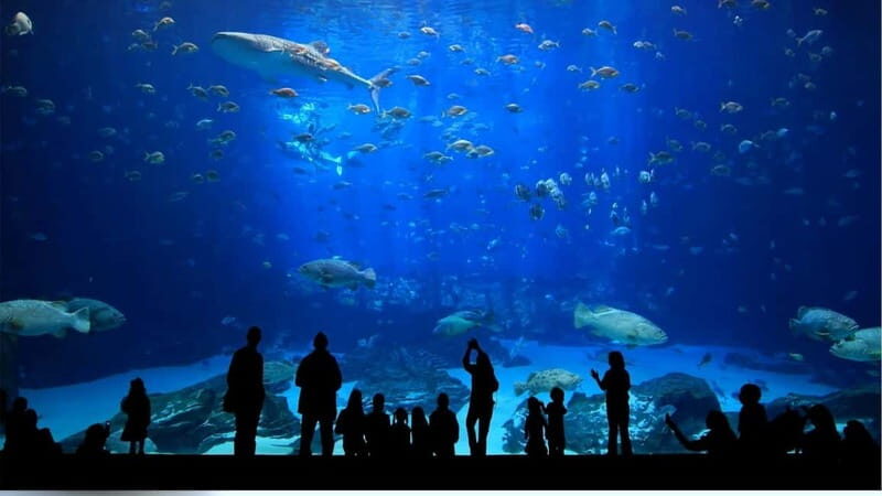 Antalya: Aquarium, Wax Museum, Snow World, Wild Park - Wax Museum: quick, close-up, and good when you want a break