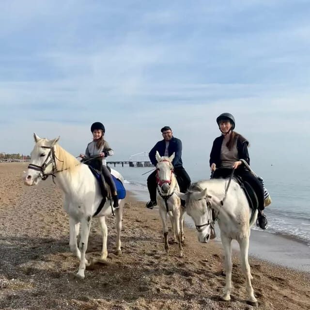 Antalya : Belek , Kundu , Horse Riding - Horse Riding in Belek and Kundu: what the day feels like