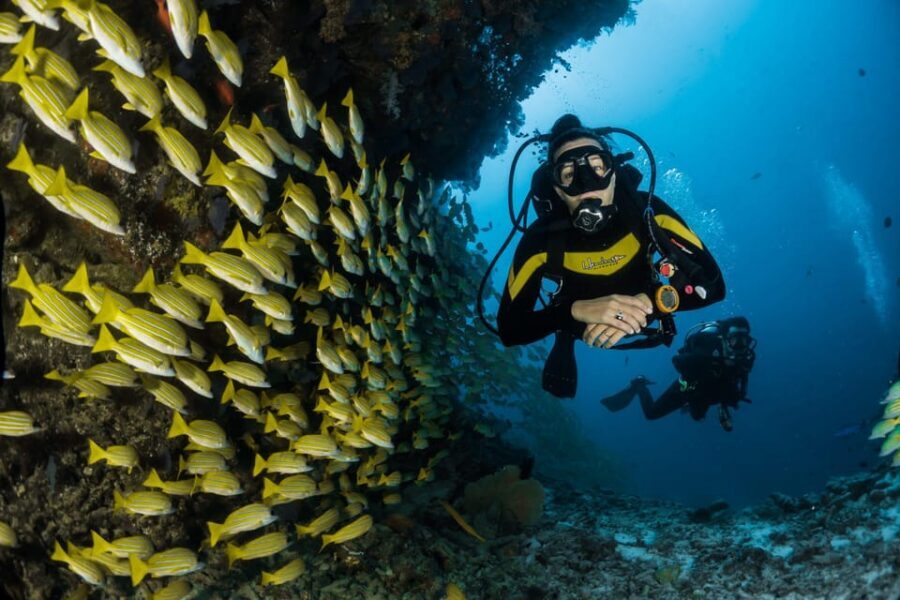 Antalya/ Belek Scuba Diving Tour With 2 Time Dive & Lunch - Key Things I Think You’ll Care About