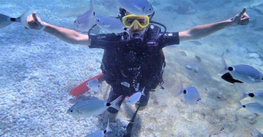 Antalya/ Belek Scuba Diving Tour With 2 Time Dive & Lunch - Why This Antalya-to-Belek Scuba Experience Works for Most Levels