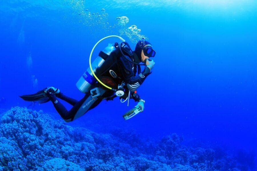 Antalya/ Belek Scuba Diving Tour With 2 Time Dive & Lunch - Safety, Insurance, Equipment, and Instructor Support