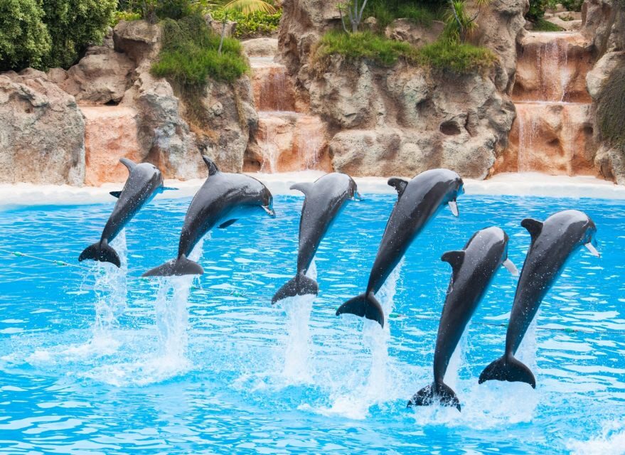 Antalya/Belek: The Land of Legends Theme Park with Transfer - Who should book this Land of Legends transfer day
