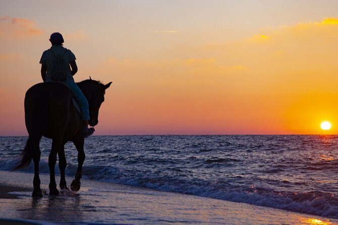 Antalya Horse Riding On Beach And Through The Forests For 2 Hours - Two hours of Lara Beach sand and pine forest trails