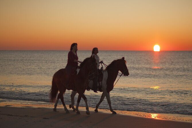 Antalya Horse Riding On Beach And Through The Forests For 2 Hours - Accessibility and physical fitness: be honest with yourself