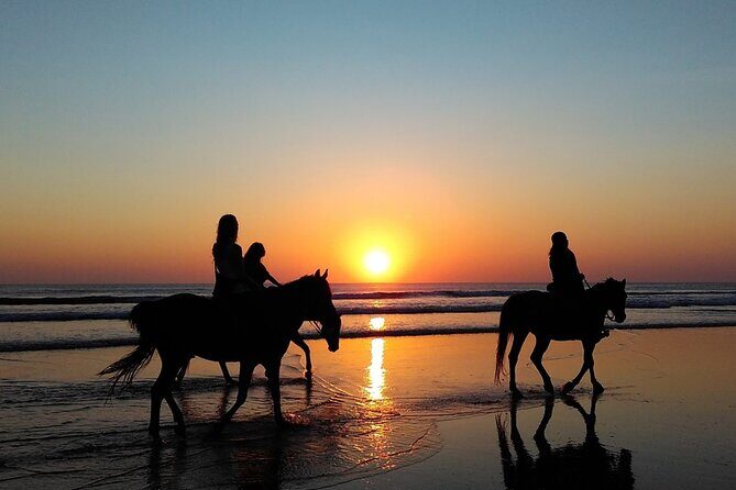 Antalya Horse Riding On Beach And Through The Forests For 2 Hours - Price and value: is $60 fair for what you actually get?