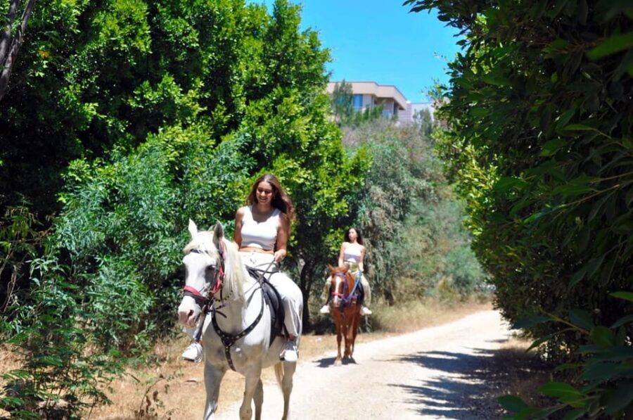 Antalya: Horseback Riding on the Beach and in the Forest - Price and value: is $65 fair for what you get?