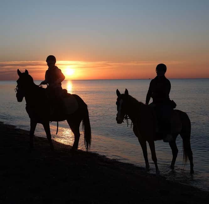 Antalya: Horseback Riding on the Beach and in the Forest - Lara Beach stop: what you get from the sea ride