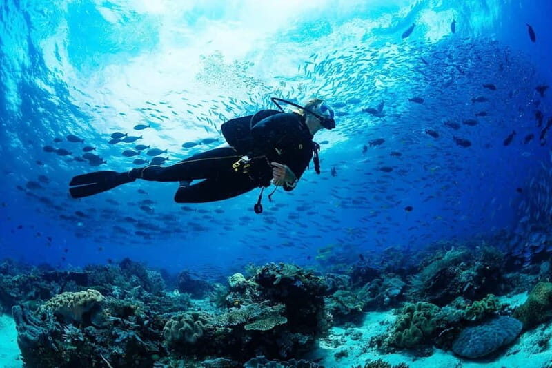 Antalya/Kemer: 2 Dives Scuba Diving Trip with Lunch - Gear is provided, but bring the right extras for comfort