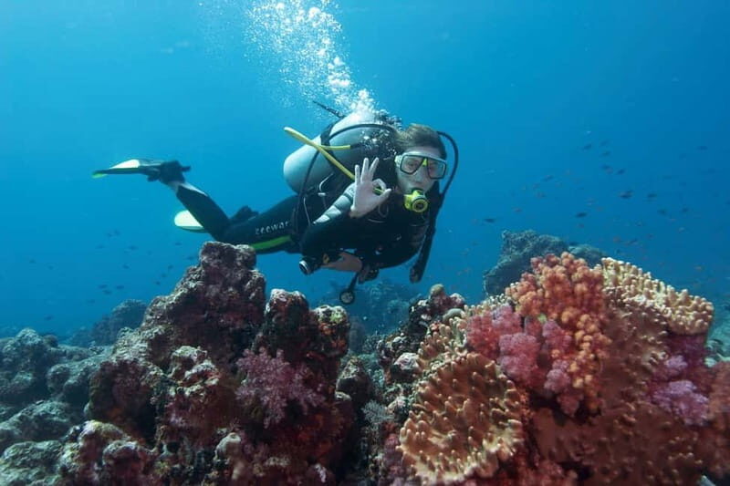 Antalya/Kemer: 2 Dives Scuba Diving Trip with Lunch - Lunch expectations: good enough fuel, not a food tour