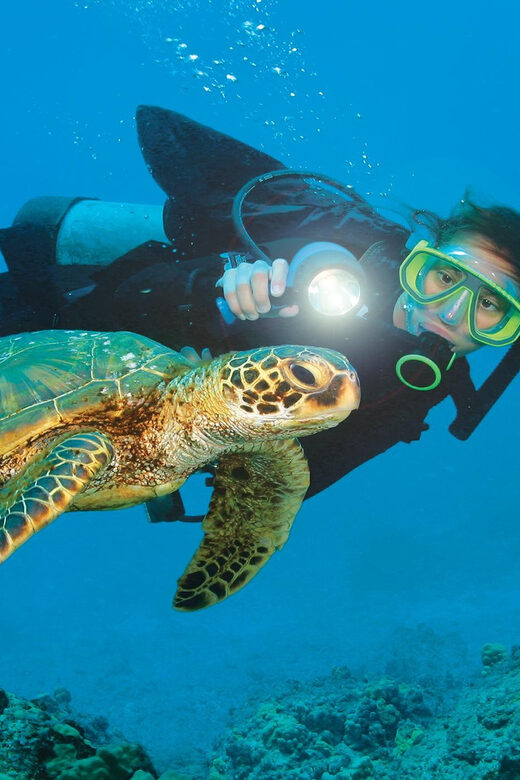 Antalya/ Kemer/ Belek Scuba Diving With Lunch & Transfer - Lunch Aboard, Coffee, and Turkish Tea Between Turns