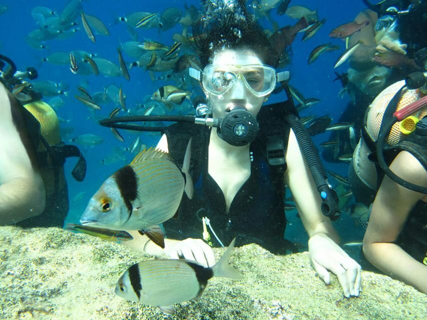 Antalya/Kemer: Scuba Diving Experience with Lunch & Pick up - Key highlights you’ll care about