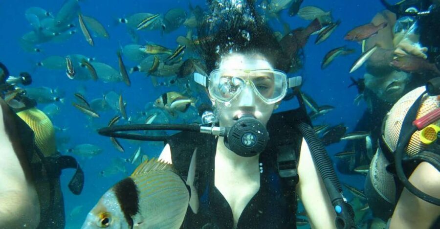 Antalya/Kemer: Scuba Diving Experience with Lunch & Pick up - Two-bay scenery in Kemer: why this feels like value