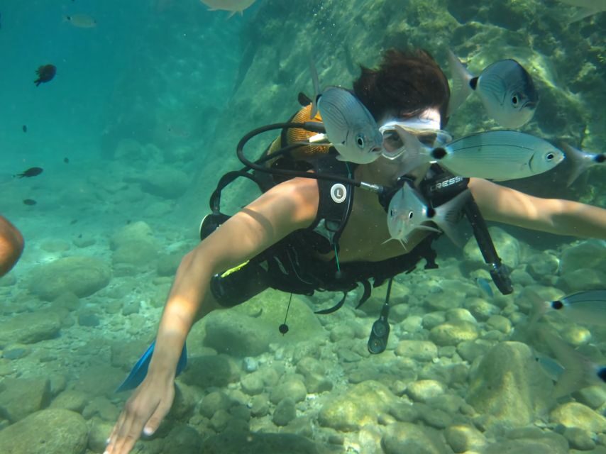 Antalya/Kemer: Scuba Diving Experience with Lunch & Pick up - Before you go in: briefing, equipment, and the safety vibe