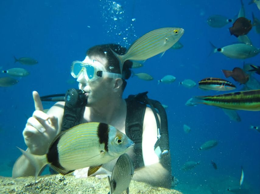 Antalya/Kemer: Scuba Diving Experience with Lunch & Pick up - Aquarium Bay: shallow fun, fish-feeding, and an easy entry