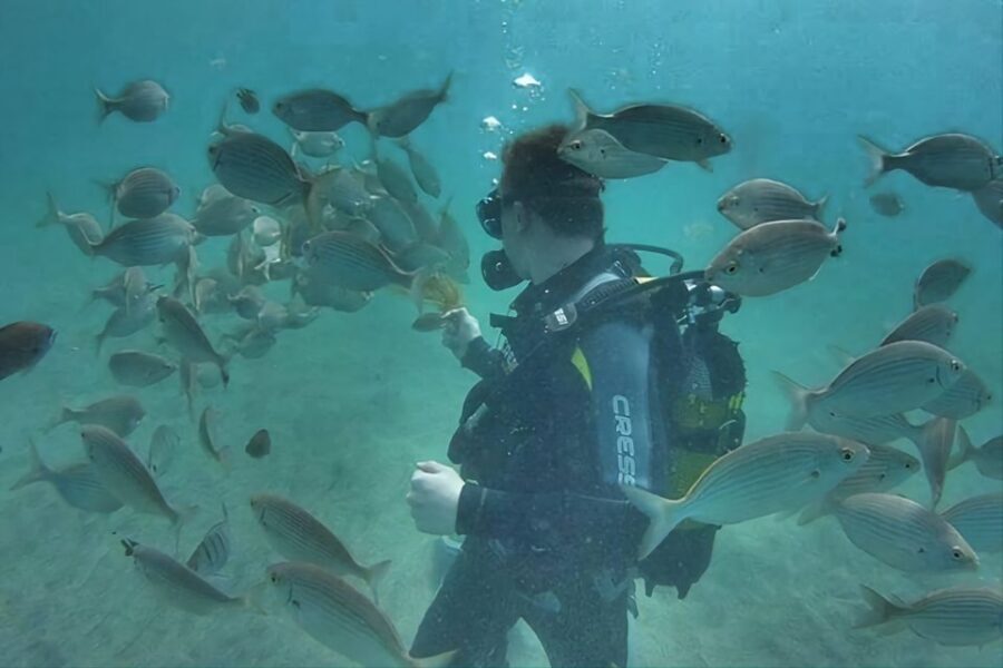 Antalya/Kemer: Scuba Diving Experience with Lunch & Pick up - Lunch onboard: simple, filling, and timed for energy