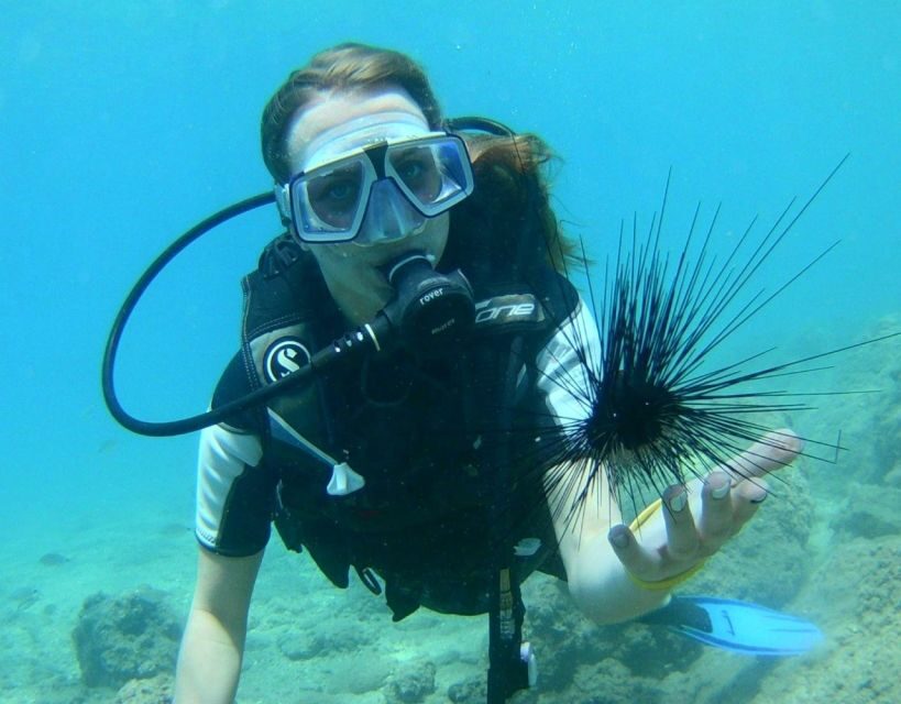 Antalya/Kemer: Scuba Diving with Pickup, Lunch, and 2 Dives - Between Sessions: Lunch on Board and Time to Reset