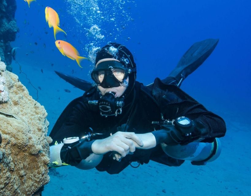 Antalya/Kemer: Scuba Diving with Pickup, Lunch, and 2 Dives - Seasonal Weather Notes: When the Plan May Change