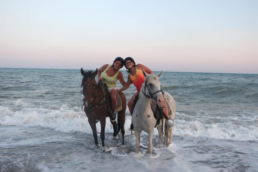 Antalya: Lara Beach & Forrest Horse Riding Safari - Horses, helmets, and the beginner comfort factor