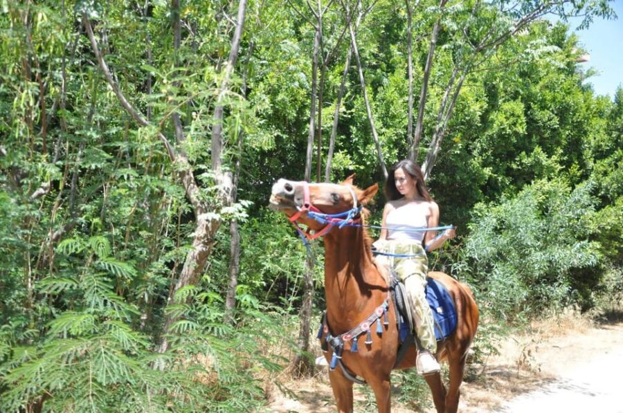 Antalya: Lara Beach & Forrest Horse Riding Safari - Beach time (20–25 minutes): where the photos and sea breeze happen