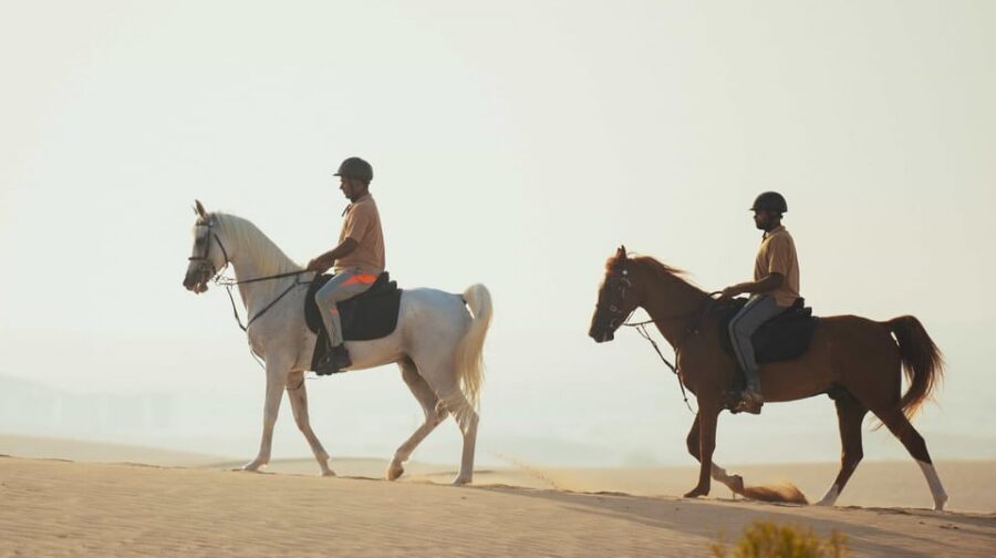 Antalya: Lara Beach & Forrest Horse Riding Safari - Instructor support: what communication looks like