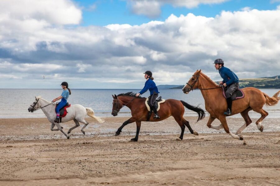 Antalya: Lara Beach & Forrest Horse Riding Safari - Price and value: what $58 really buys you (and what doesn’t)