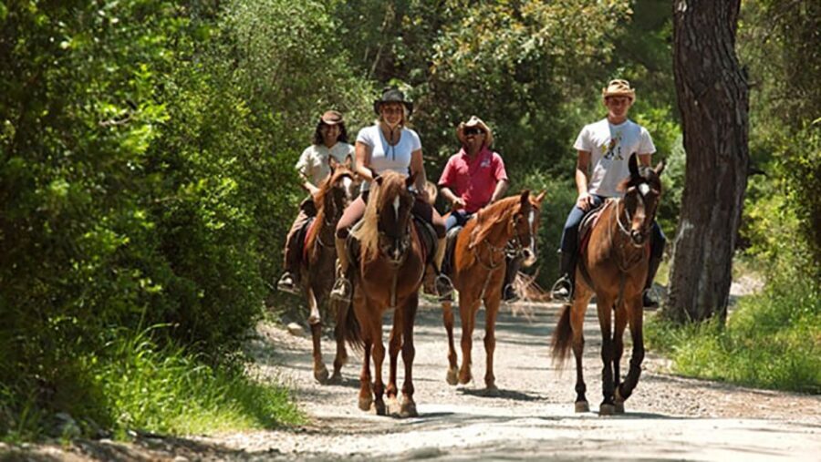 Antalya: Lara Beach & Forrest Horse Riding Safari - Pickup, meeting point, and how to avoid waiting around