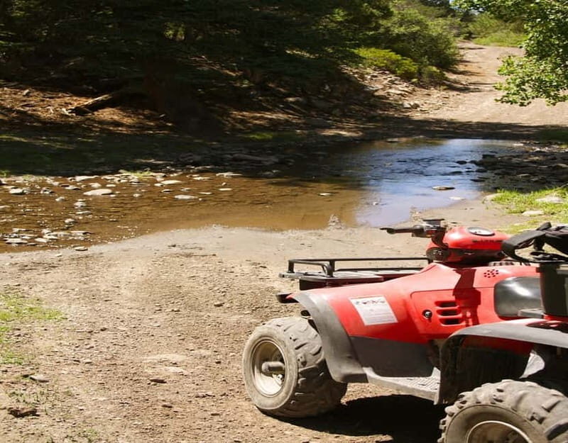 Antalya: Quad-Bike Excursion in Side Forest & Hotel Pick-Up - Price and value: what you’re really paying for