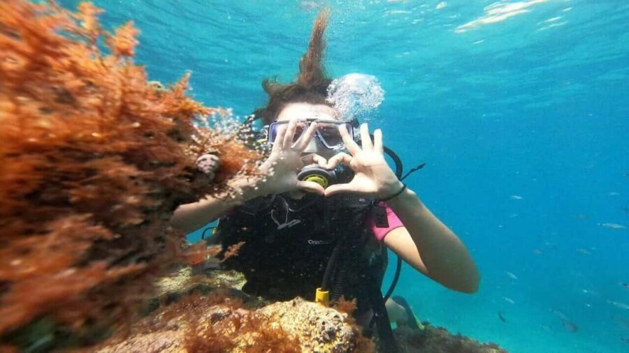 Antalya Scuba Diving Adventure with Expert Diver Option - First session around Aquarium Bay (5–10 metres): a confidence-builder