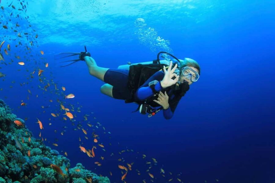 Antalya Scuba Diving Adventure with Expert Diver Option - The 5–9 hour boat-day rhythm: how the time plays out