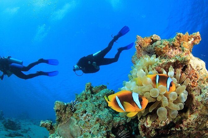 Antalya Scuba Diving With Transfer From Belek,Lara,Kemer Hotels - Hotel Pickup: The Real Convenience of Starting From Belek, Lara, or Kemer