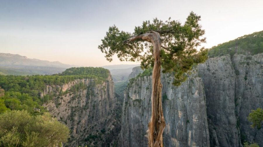 Antalya: Tazı Canyon - Rafting Combo Tour w/Pick Up - Tazı Canyon by cabrio bus: the viewpoint-first approach