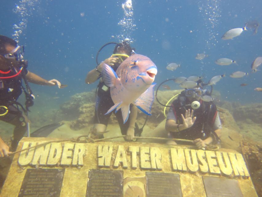 City of Side: Scuba Diving with Lunch - Underwater Session #2 and the Museum: Depth, Timing, and Photos