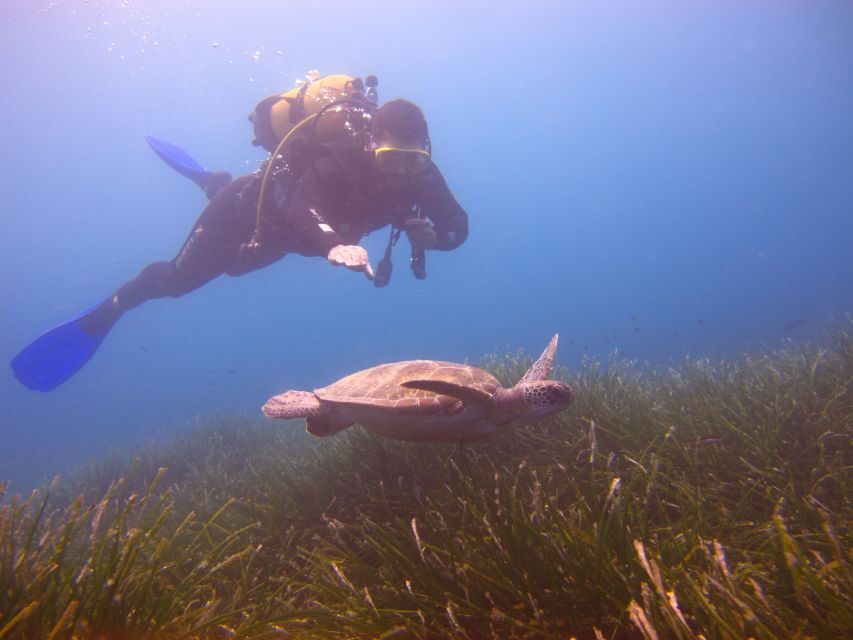 City of Side: Underwater Museum Scuba Diving Visit - Key things to know before you go