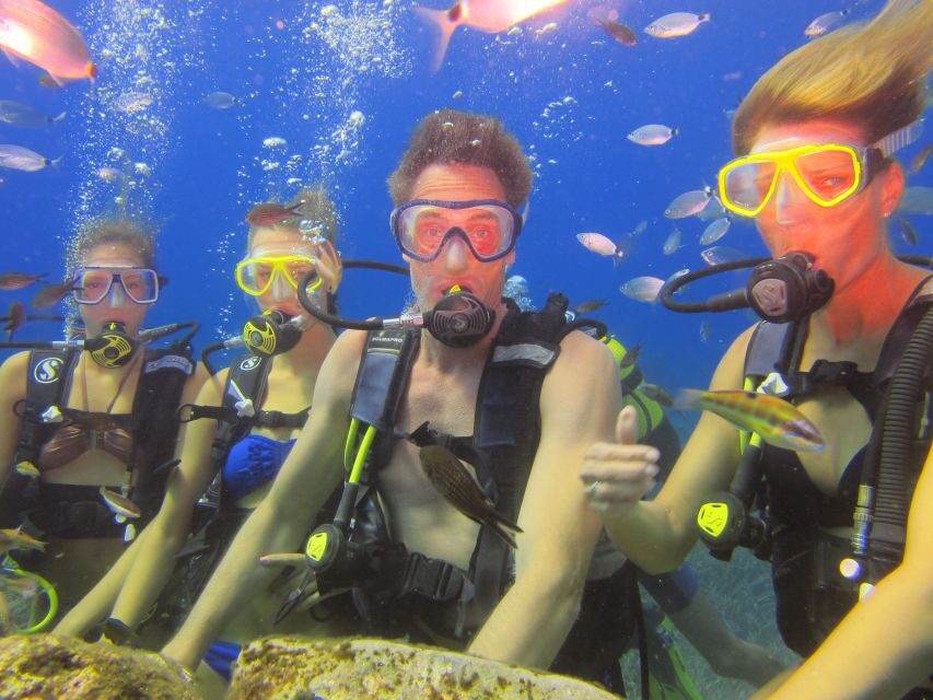 City of Side: Underwater Museum Scuba Diving Visit - Should you book this Side Underwater Museum scuba visit?