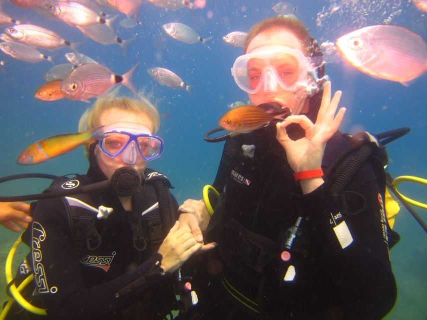 City of Side: Underwater Museum Scuba Diving Visit - The underwater sessions: Two short visits to the sculptures
