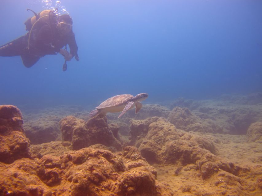 City of Side: Underwater Museum Scuba Diving Visit - Between sessions: the long rest, the lunch, and what to do with it