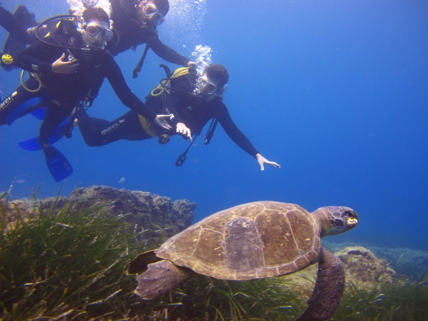 City of Side: Underwater Museum Scuba Diving Visit - Who this suits best (and who should skip it)