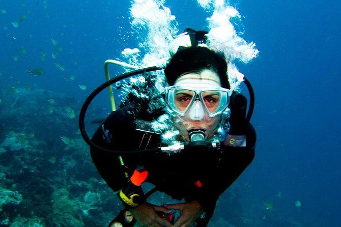 Diving in the Mediterranean sea - Group size, boat atmosphere, and where complaints come from