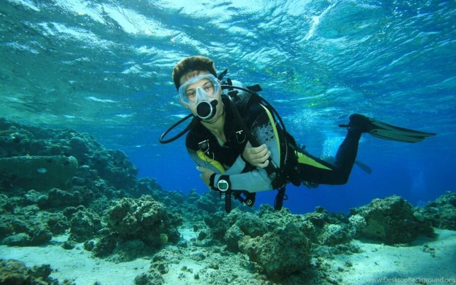 Diving Tour from Alanya & Side with Lunch - 2 Dives Included - Who should book this, and who should skip it