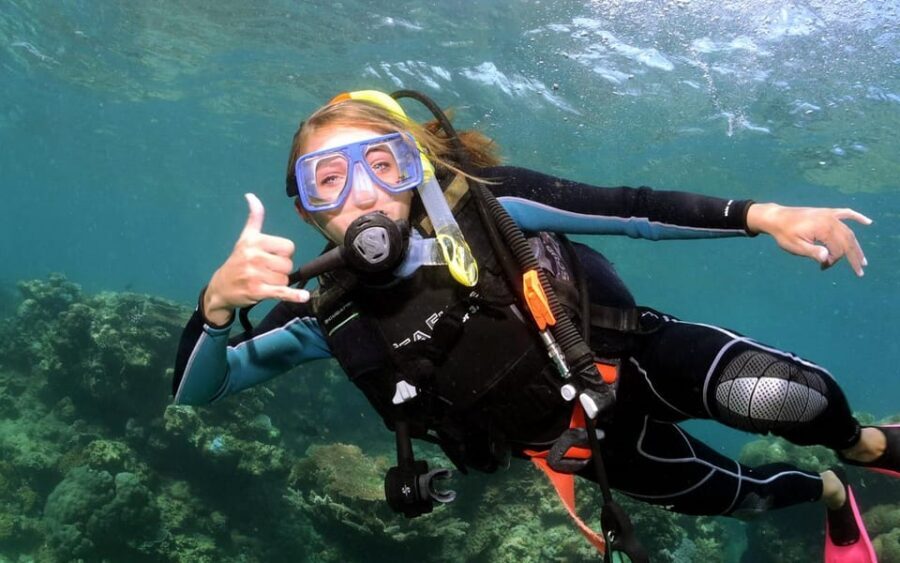 Diving Tour from Alanya & Side with Lunch - 2 Dives Included - Marine life and wreck/artefact talk: setting expectations