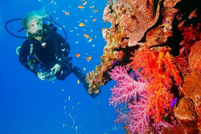 Exciteful Scuba Diving Experience in Antalya - Antalya Scuba Day, Explained Simply