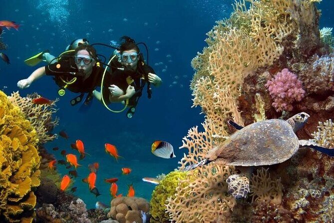 Exciteful Scuba Diving Experience in Antalya - Two Underwater Sessions Around Konyaaltı (What It Means for You)