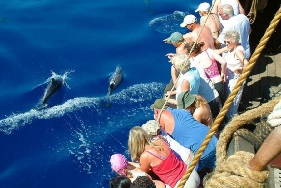 Explore Alanya's Beauty Catamaran Boat Tour - Lunch Onboard: Local Food Without the Detour