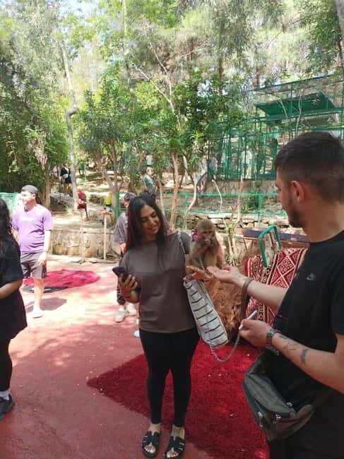 From Alanya: Lion Safari & Green Canyon Splash Feast w/Lunch - Key points (what you’ll remember most)