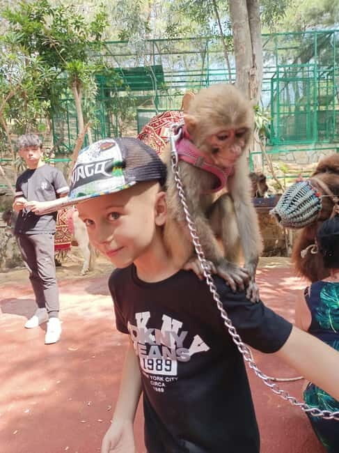 From Alanya: Lion Safari & Green Canyon Splash Feast w/Lunch - Gözleme Stop and Lakeside BBQ Lunch