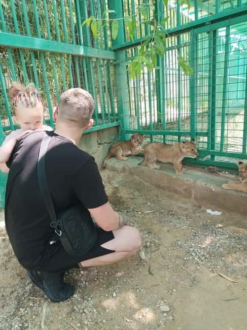 From Alanya: Lion Safari & Green Canyon Splash Feast w/Lunch - Who This Tour Is Best For (and who might want something calmer)