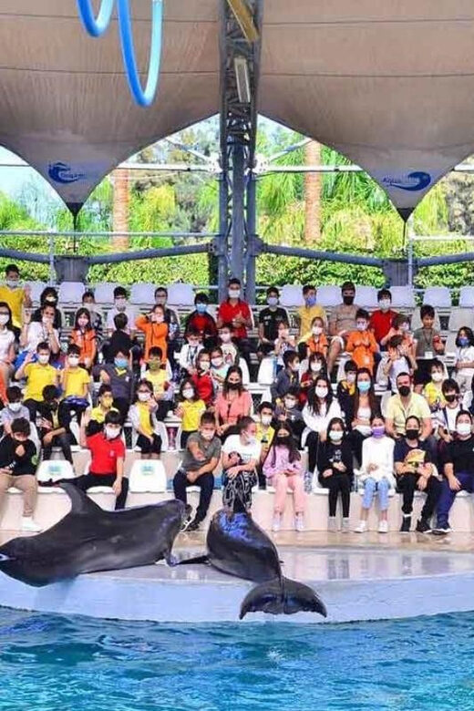 From Belek: Dolphin Show with Transfers - Dolphin Show with Transfers From Belek: the real-world vibe