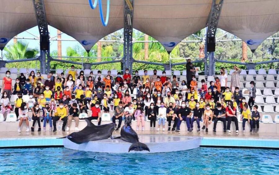 From Belek: Dolphin Show with Transfers - What’s included (so you’re not surprised)