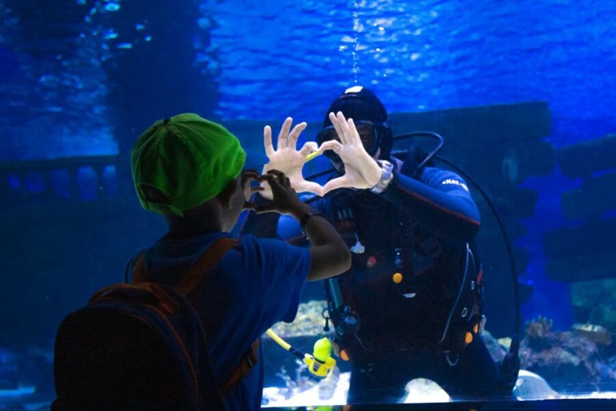 From City of Side: Antalya Aquarium Tour, Ticket & Transfer - Side to Antalya: the guided transfer that sets the tone