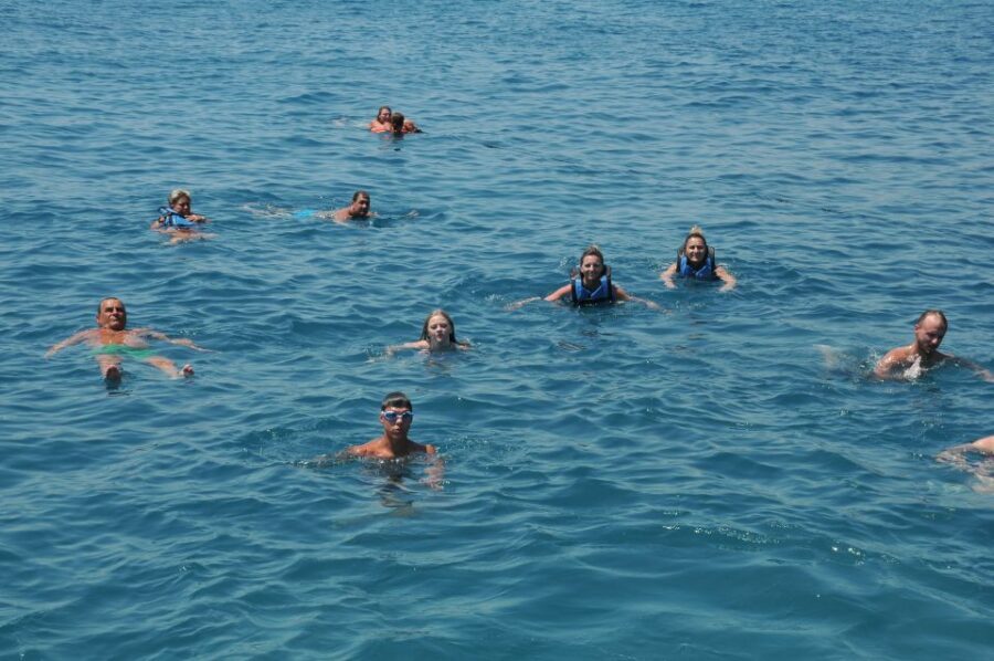 From City of Side: Dolphins Island Boat Trip with Transfer - Dolphins in the wild: what to expect when it’s not guaranteed